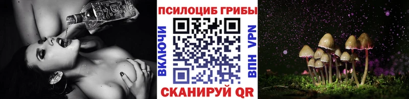 цена наркотик  Рославль  Псилоцибиновые грибы GOLDEN TEACHER 