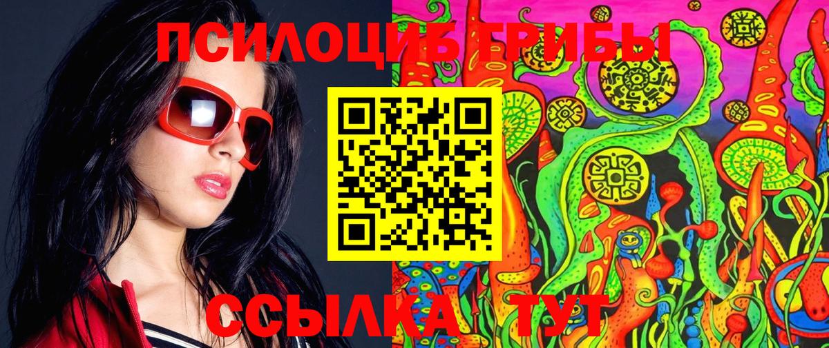 Псилоцибиновые грибы Psilocybe  Вход с VPN  Рославль 